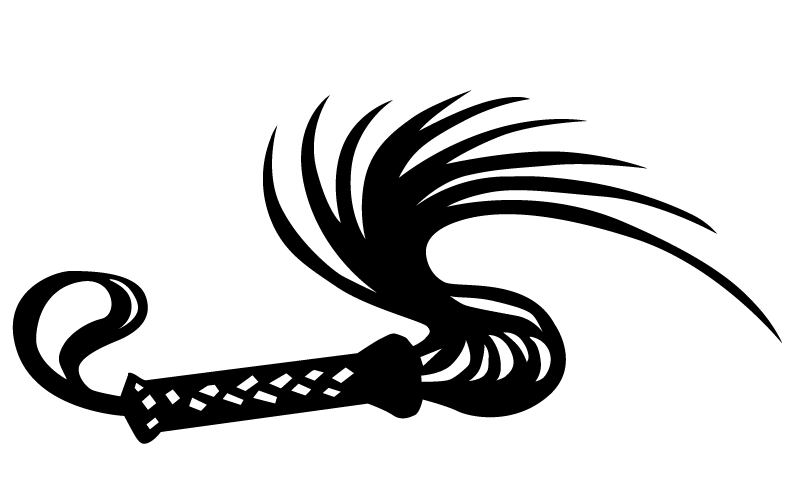 16 May 2016 Lismore NSW: Whip Your Wallet into Shape Whip 2